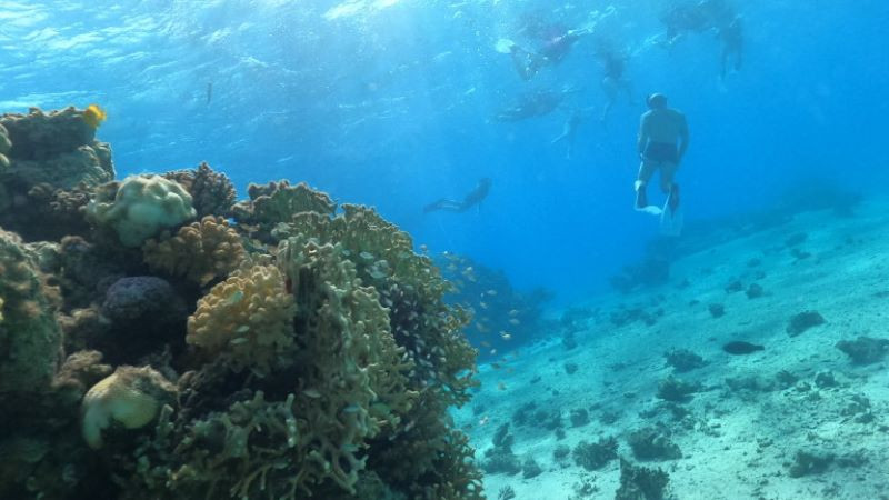 Туристически кораб потъна в Червено море, 17 са в неизвестност